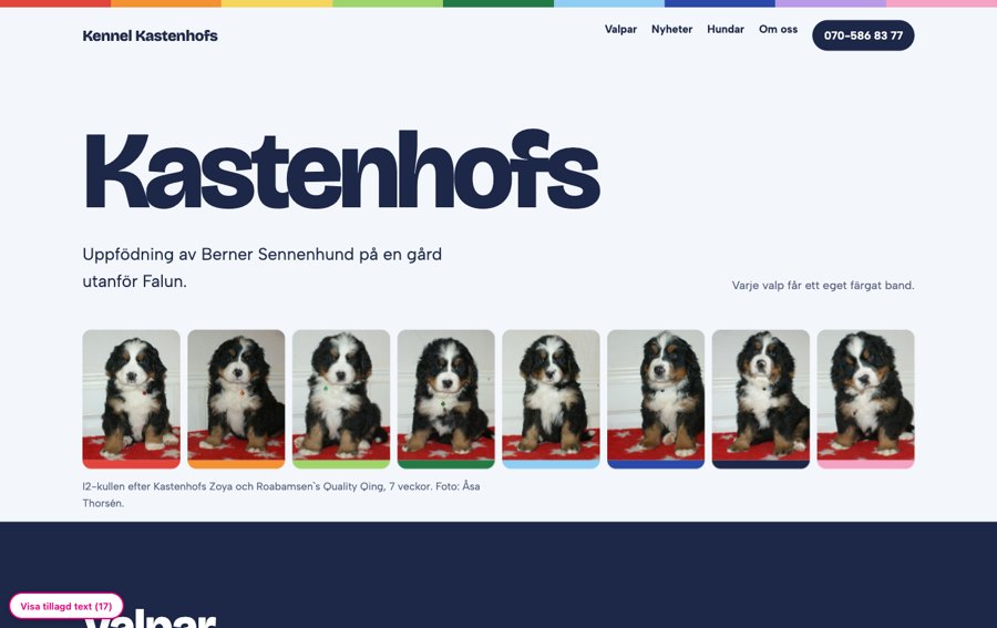 Förhandsvisning av Valpåret 2026